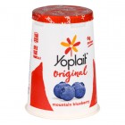 YOPLAIT BLUEBERRY YOGURT 6OZ 